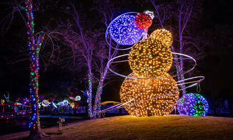Affordable holiday lights limo rental in Colorado Springs, CO